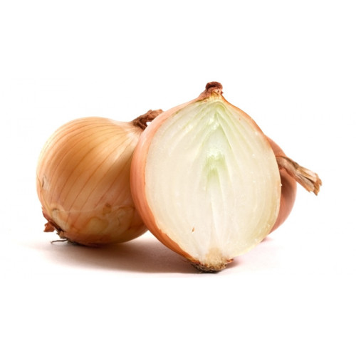 CEBOLA